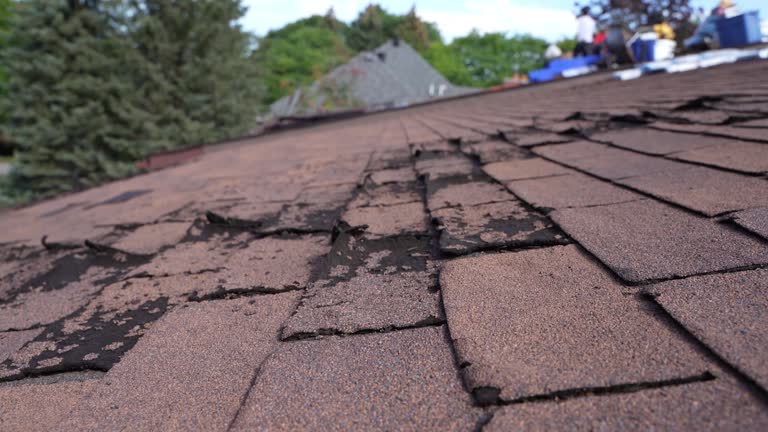Best Roof Leak Repair  in Rochester, IL