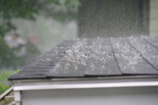 Best Rubber Roofing (EPDM, TPO)  in Rochester, IL